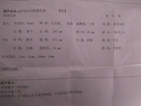 journal_insert_pic_341363606