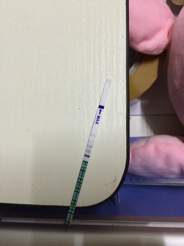 journal_insert_pic_342445976