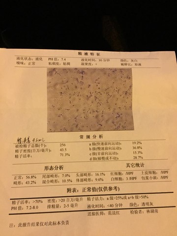 journal_insert_pic_342269969