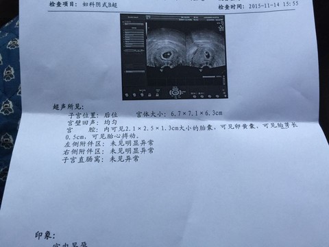 journal_insert_pic_342116966