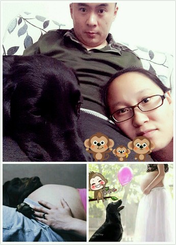 journal_insert_pic_342012201