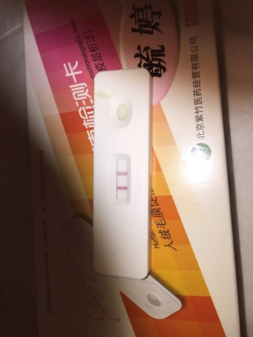 journal_insert_pic_345323142