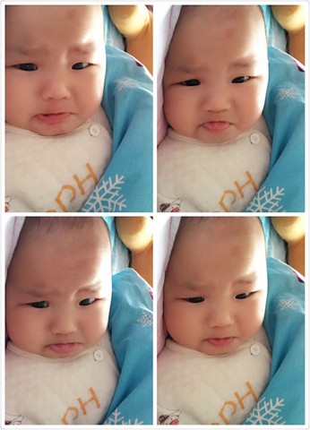 journal_insert_pic_348465080