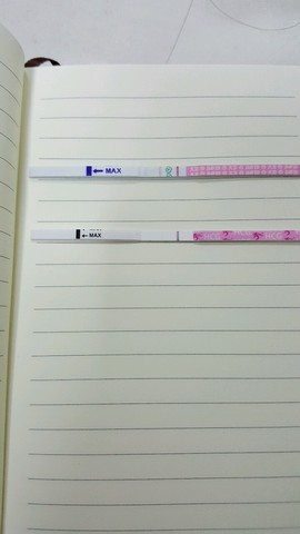 journal_insert_pic_349504679