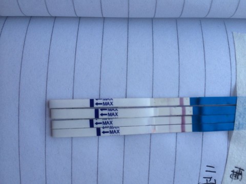 journal_insert_pic_351009451