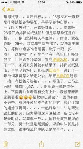 journal_insert_pic_351039598