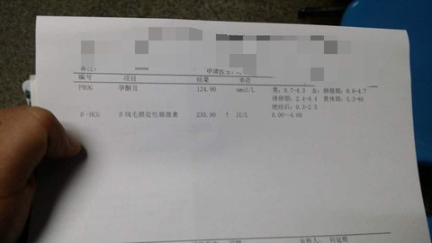journal_insert_pic_351483802