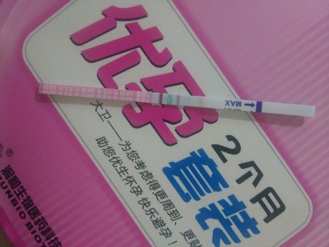 journal_insert_pic_351548417