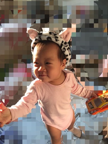 journal_insert_pic_353490724