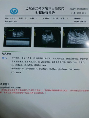 journal_insert_pic_353479571