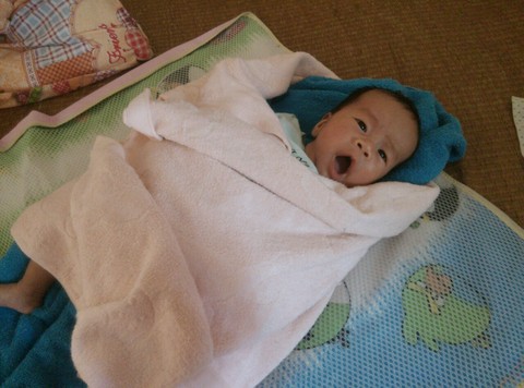 journal_insert_pic_354002835