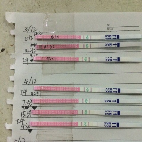 journal_insert_pic_354358607