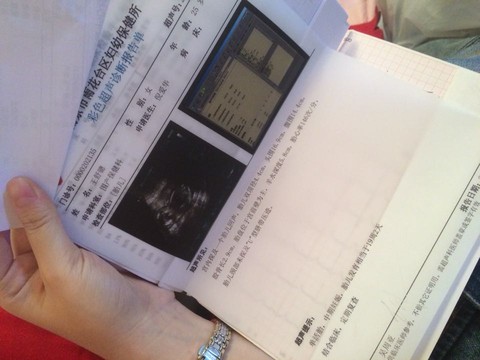 journal_insert_pic_354837341