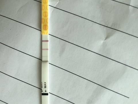 journal_insert_pic_354697086
