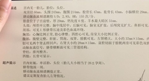 journal_insert_pic_355499954