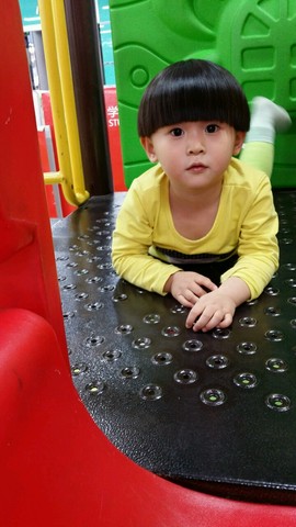 journal_insert_pic_355321431