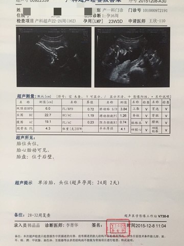 journal_insert_pic_356110752
