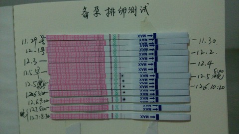 journal_insert_pic_357392721