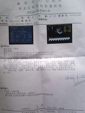 journal_insert_pic_358085044
