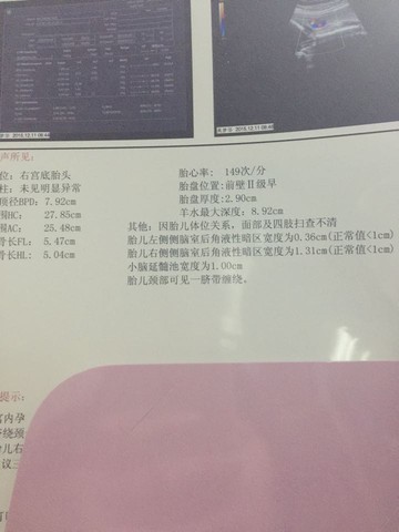 journal_insert_pic_358452114