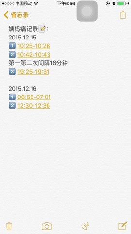 journal_insert_pic_362229380