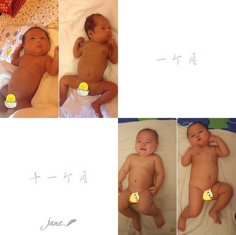 journal_insert_pic_367911184