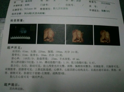 journal_insert_pic_367684605