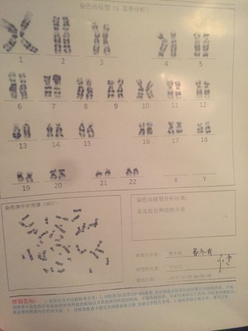 journal_insert_pic_368745095