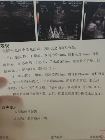 journal_insert_pic_369591019