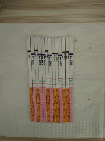 journal_insert_pic_370437415
