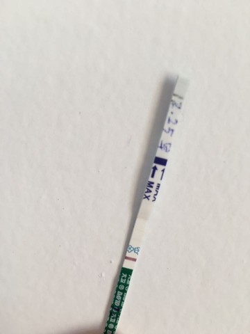 journal_insert_pic_371552431