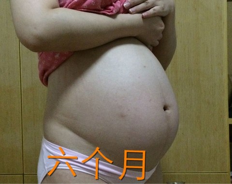 journal_insert_pic_371187241