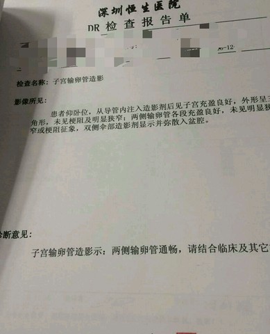 journal_insert_pic_371223403