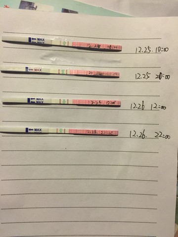 journal_insert_pic_372147816