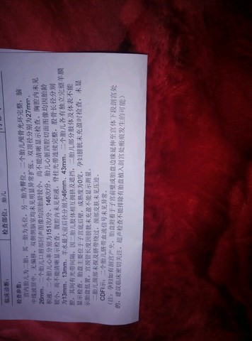 journal_insert_pic_372061224
