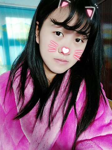 journal_insert_pic_375020619