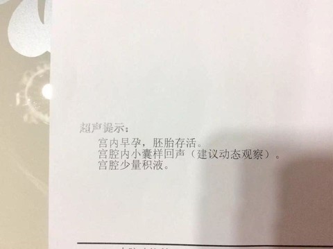 journal_insert_pic_375664449