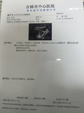 journal_insert_pic_378258257