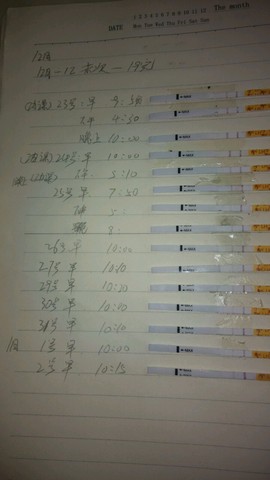 journal_insert_pic_377720904