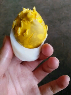鹅蛋蛋黄颜色浅图片