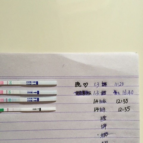 journal_insert_pic_379714136