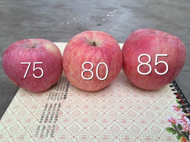 有要苹果的吗?新鲜的,刚从冷库拿出来的