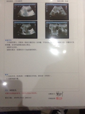 journal_insert_pic_381222229