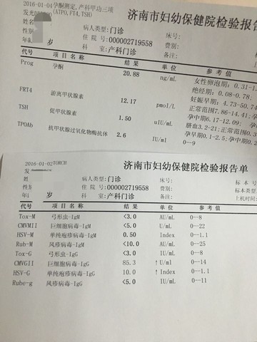 journal_insert_pic_382610960