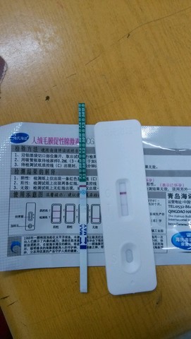 journal_insert_pic_384202886