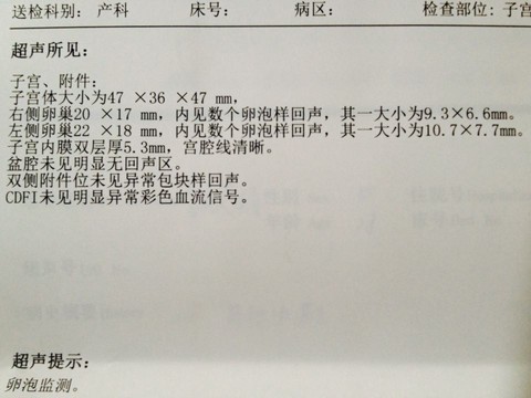 journal_insert_pic_384639891
