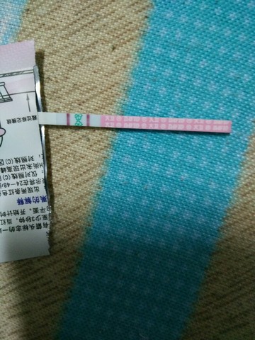 journal_insert_pic_385714971