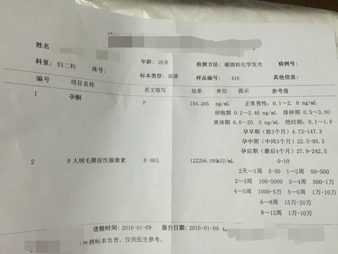 journal_insert_pic_385776309