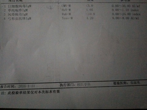 journal_insert_pic_385627475