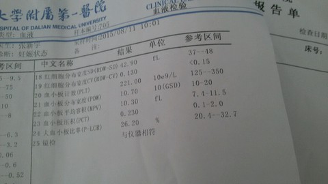 journal_insert_pic_386373369